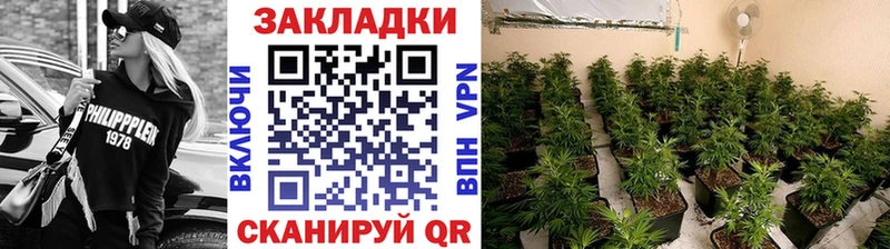 ГАШИШ Гусев