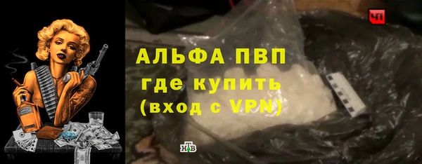 стаф Волоколамск