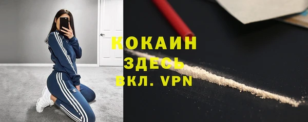стафф Богородск