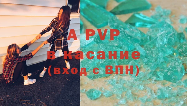стаф Волоколамск