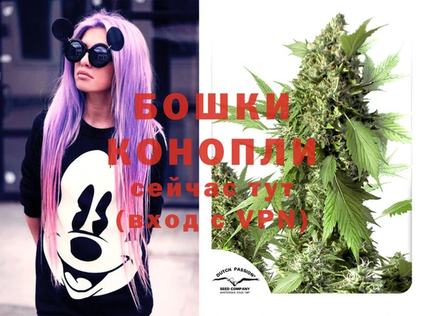 PSILOCYBIN Волосово