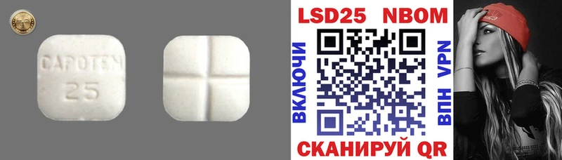 ЛСД экстази ecstasy  кракен   Гусев  купить  