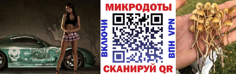 Псилоцибиновые грибы MAGIC MUSHROOMS  Гусев 